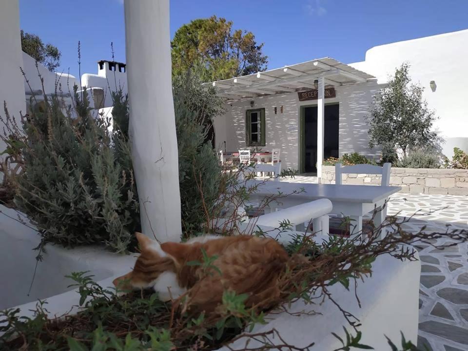 Thalassitra Village Hotel Adamantas  Dış mekan fotoğraf